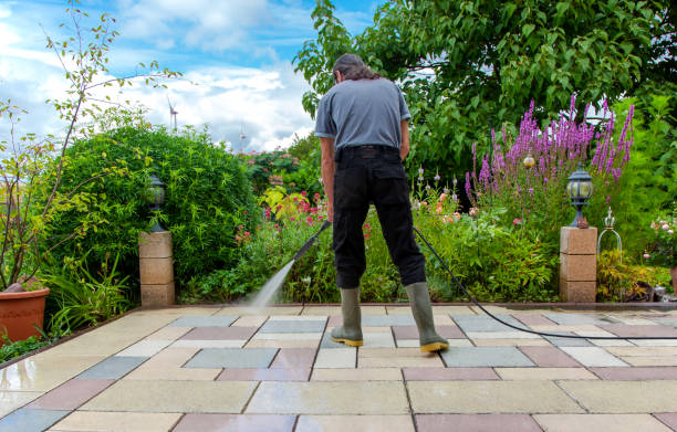 Animal Enclosure Cleaning in Bell, CA